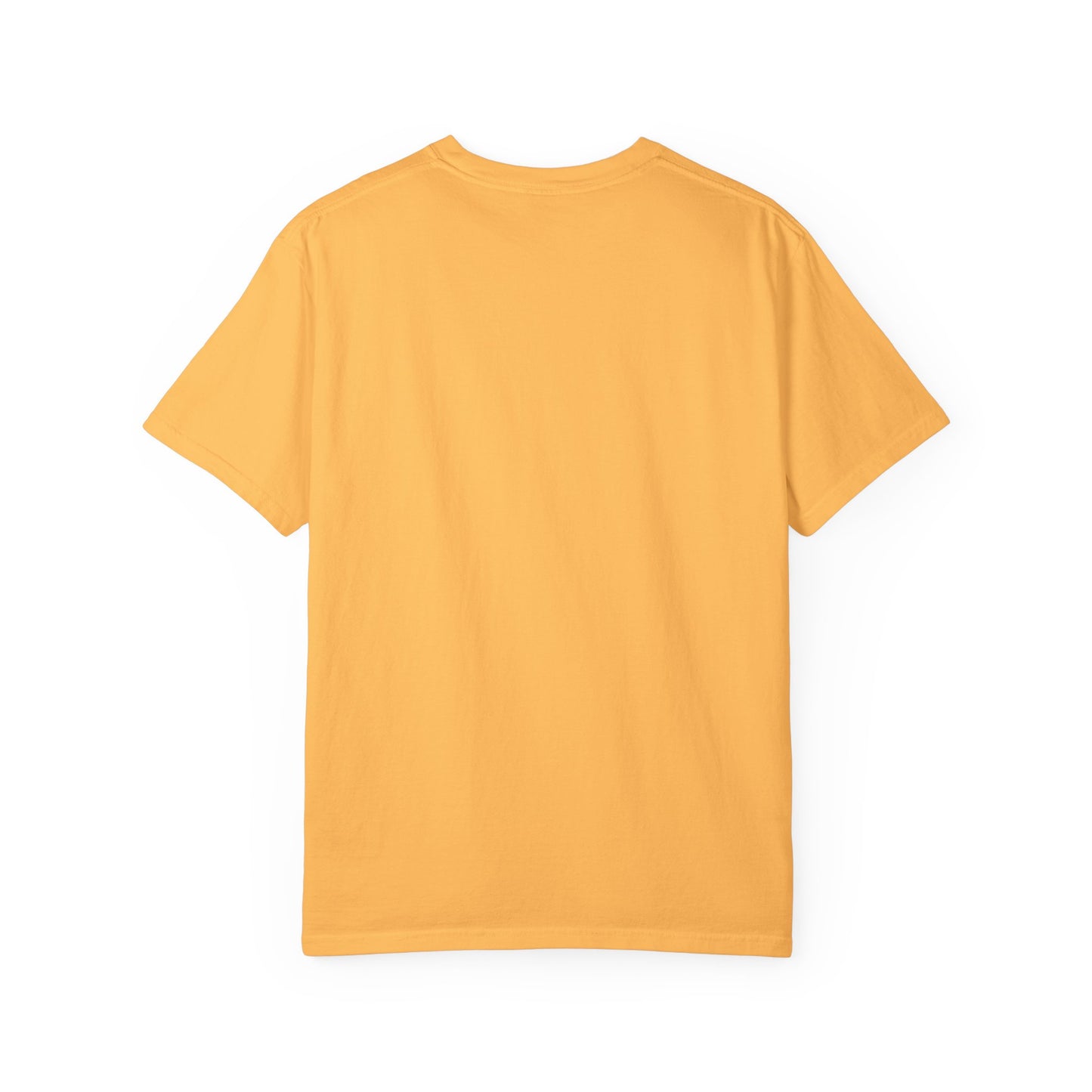 99% Chill Unisex Garment-Dyed T-Shirt, Relaxed Tee, Gift for Friends, Casual Wear, Summer Outfit, Chill Vibes T-Shirt