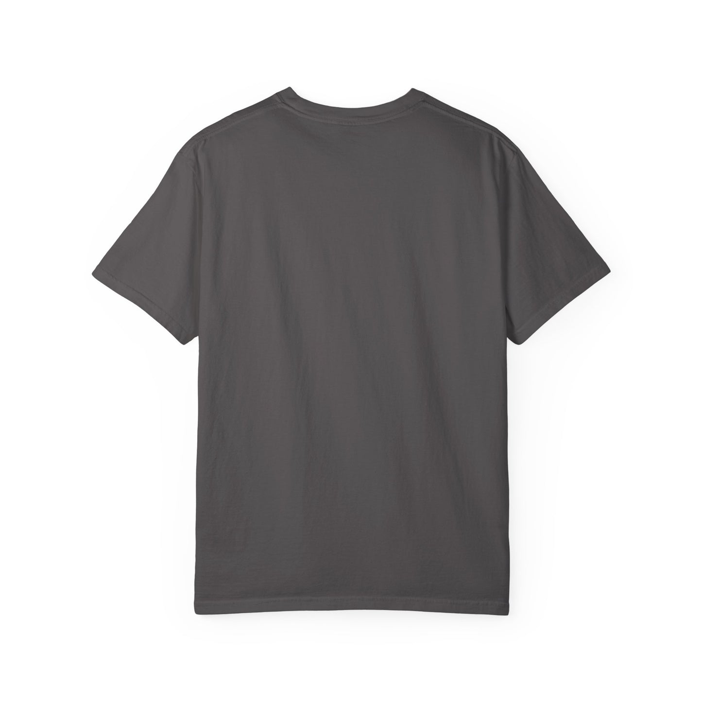 99% Chill Unisex Garment-Dyed T-Shirt, Relaxed Tee, Gift for Friends, Casual Wear, Summer Outfit, Chill Vibes T-Shirt