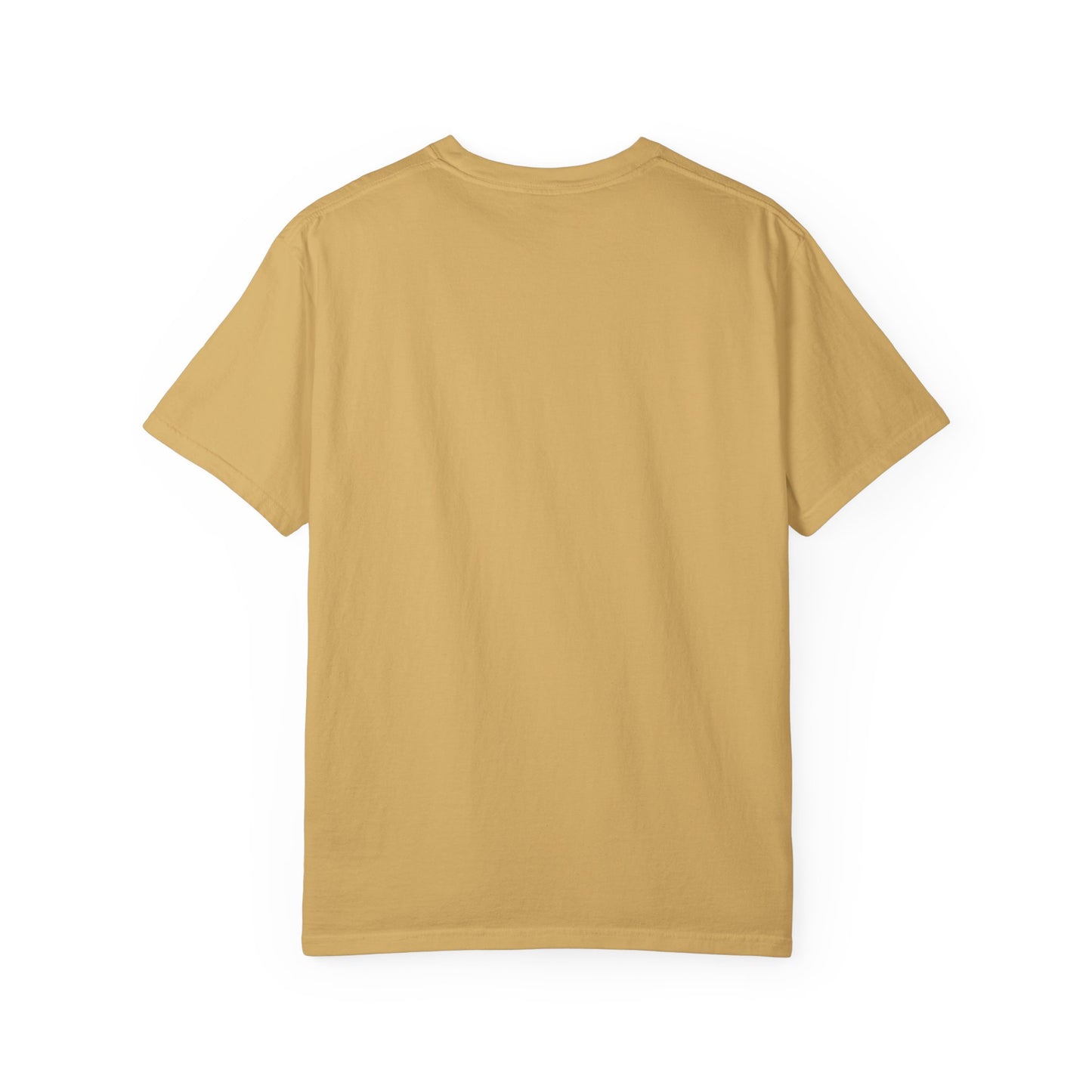99% Chill Unisex Garment-Dyed T-Shirt, Relaxed Tee, Gift for Friends, Casual Wear, Summer Outfit, Chill Vibes T-Shirt