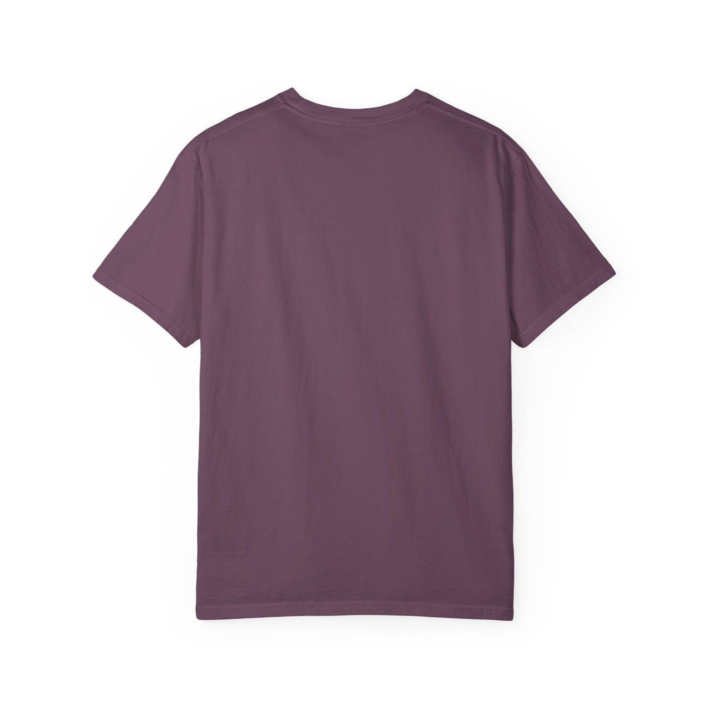 99% Chill Unisex Garment-Dyed T-Shirt, Relaxed Tee, Gift for Friends, Casual Wear, Summer Outfit, Chill Vibes T-Shirt